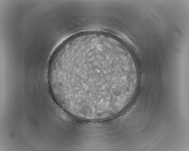 X0000114541216200911161350