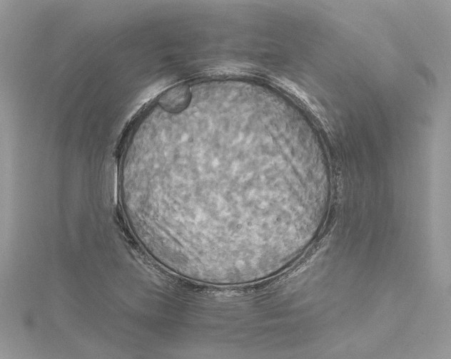 X0000114541219200911161350