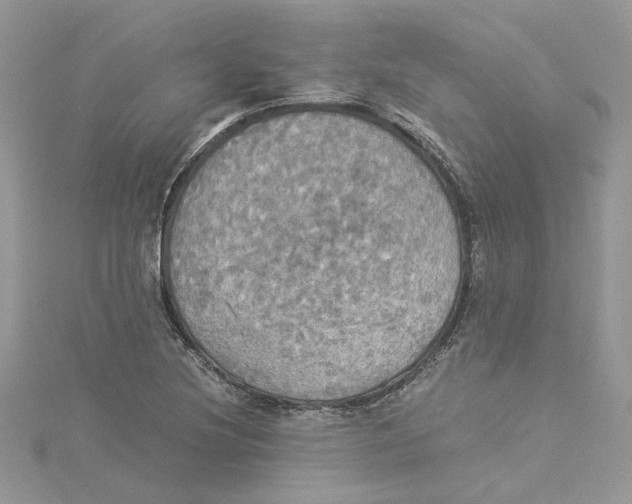 X0000114541220200911161350