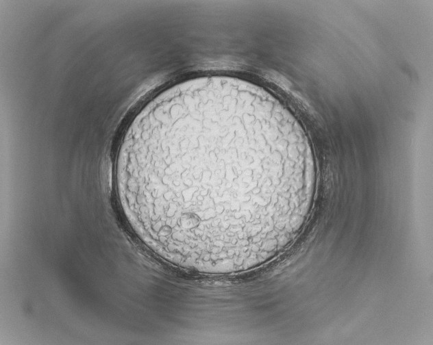 X0000114541221200911161350