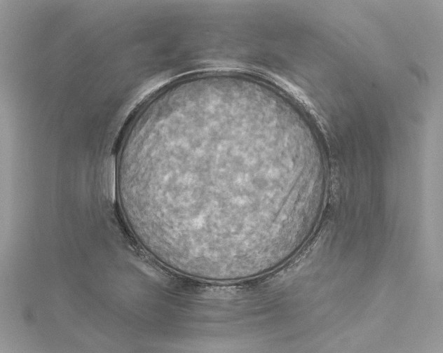 X0000114541223200911161350