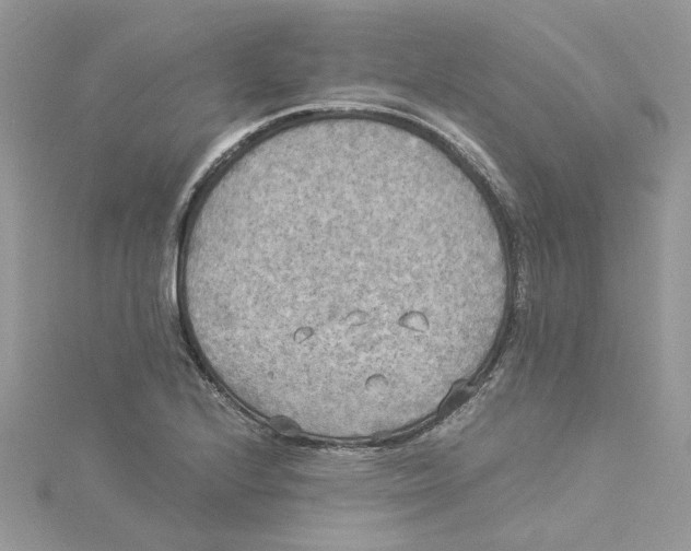 X0000114541224200911161350