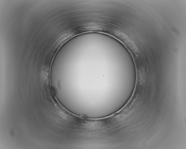 X0000114541225200911161350