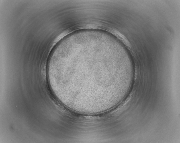 X0000114541226200911161350