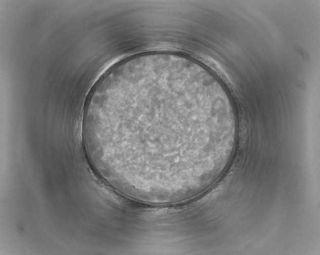 X0000114541228200911161350