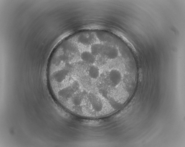 X0000114541229200911161350