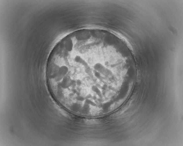 X0000114541231200911161350