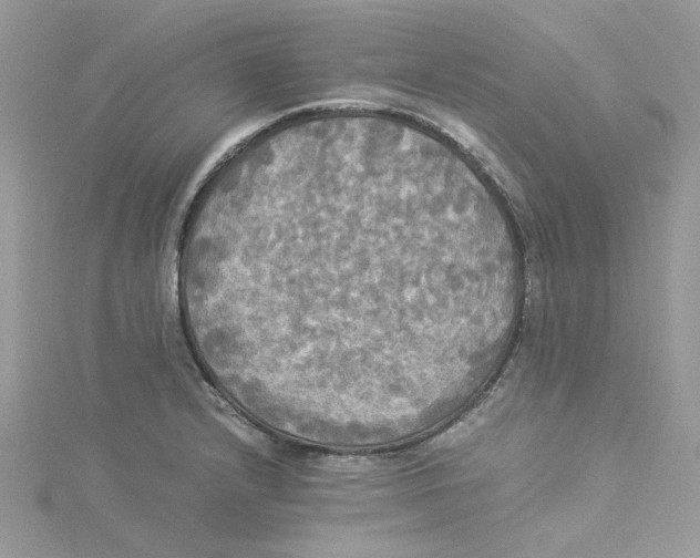 X0000114541232200911161350