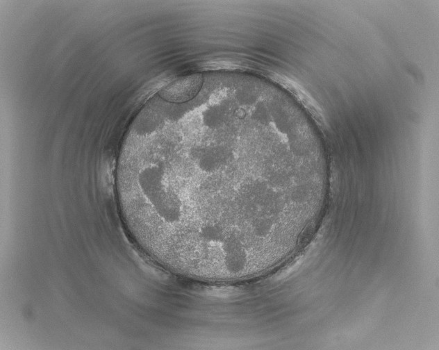 X0000114541233200911161350