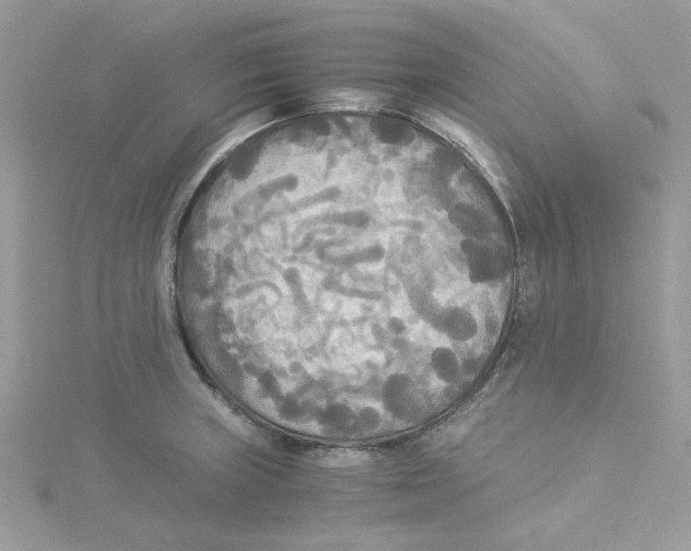 X0000114541235200911161350