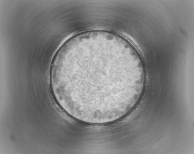 X0000114541236200911161350