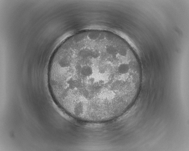 X0000114541237200911161350