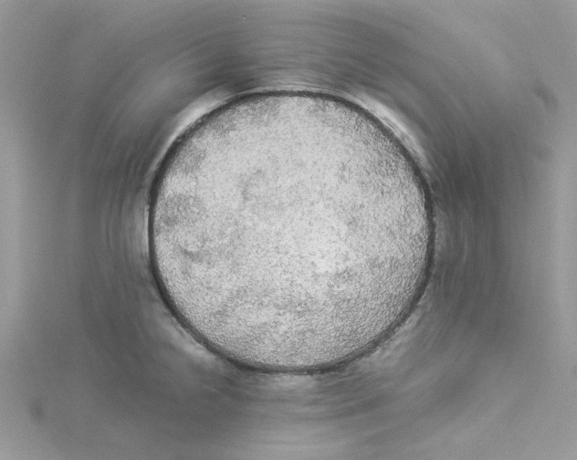 X0000114541238200911161350