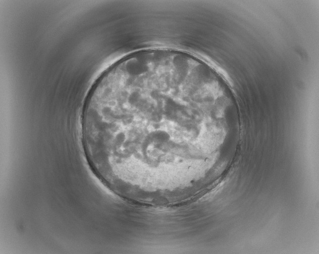 X0000114541239200911161350