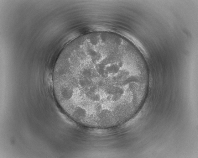 X0000114541241200911161350