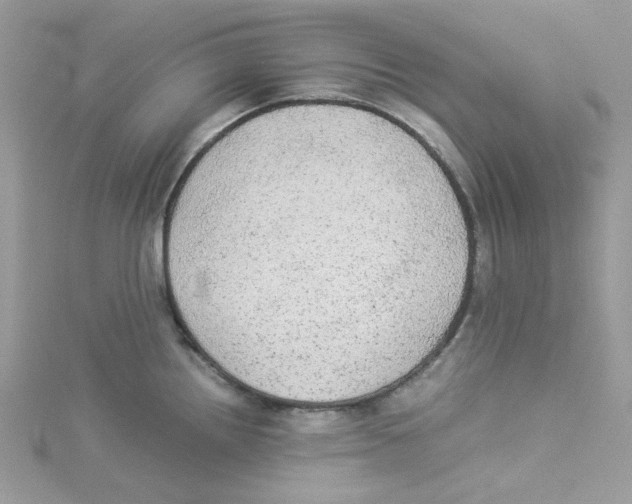 X0000114541242200911161350