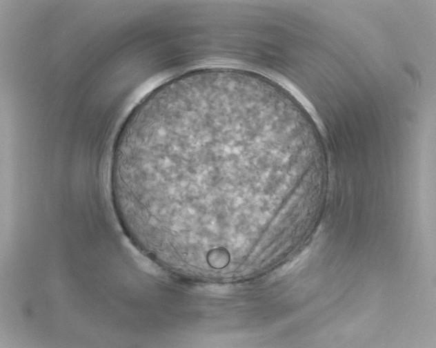 X0000114541245200911161350