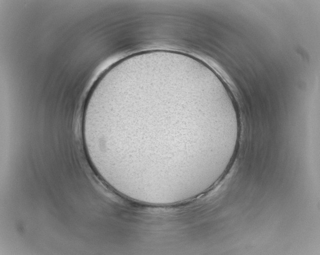 X0000114541246200911161350