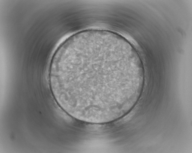 X0000114541248200911161350