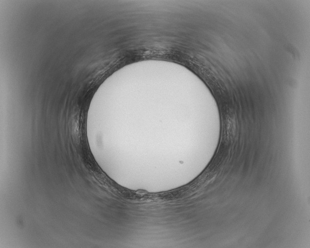 X0000114541250200911161350