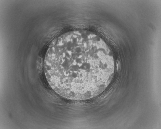 X0000114541251200911161350