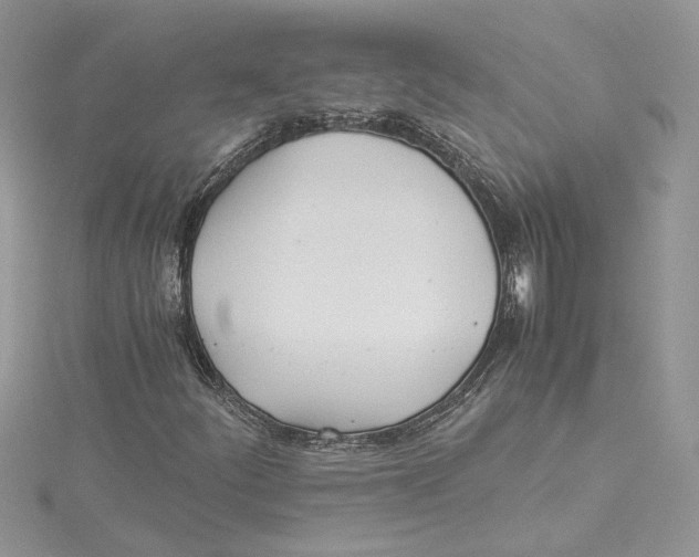 X0000114541252200911161350