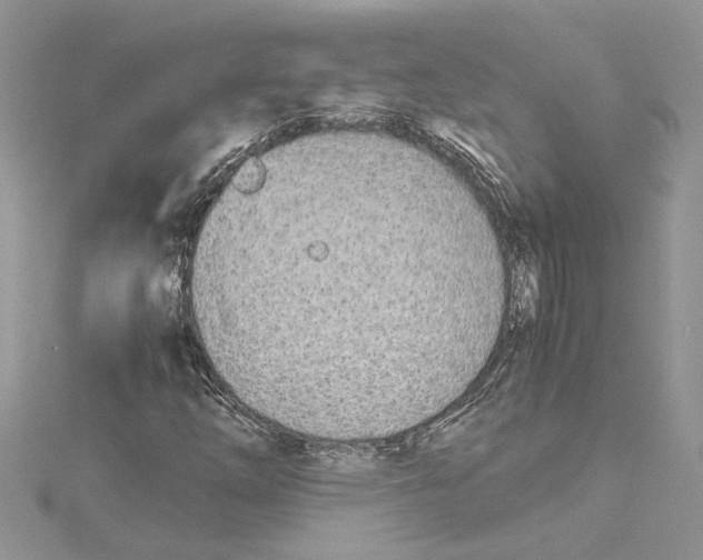 X0000114541254200911161350