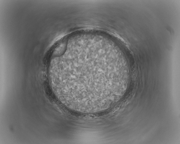 X0000114541255200911161350