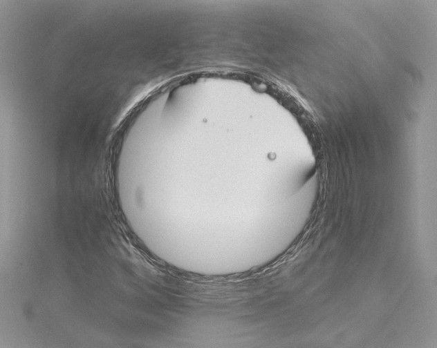 X0000114541256200911161350