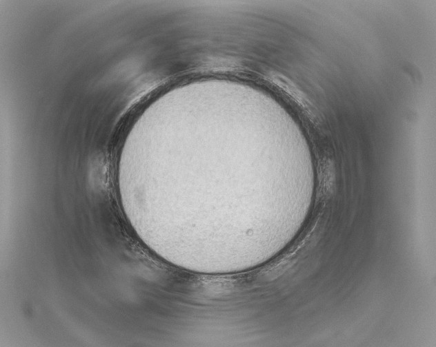 X0000114541258200911161350