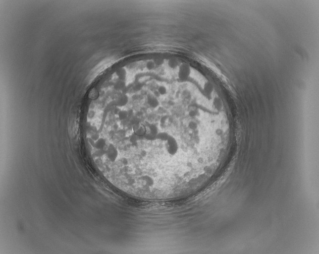 X0000114541259200911161350