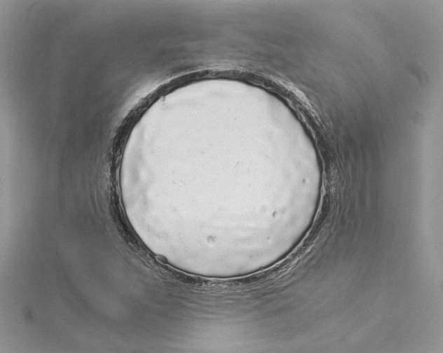 X0000114541263200911161349