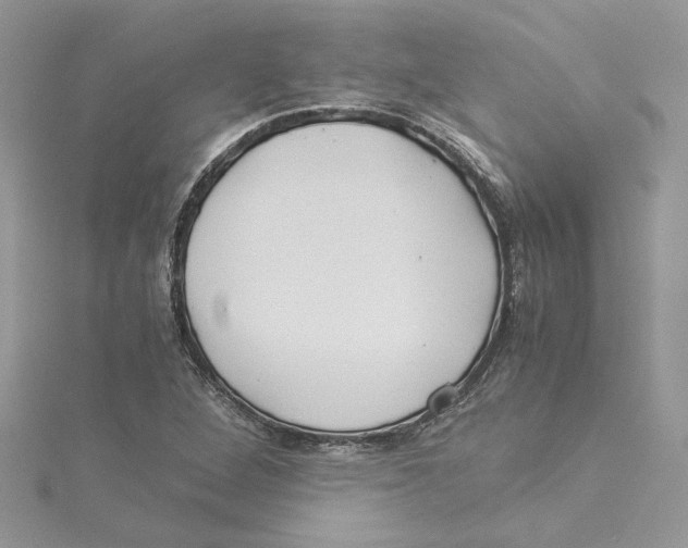 X0000114541264200911161349