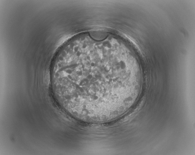 X0000114541267200911161349