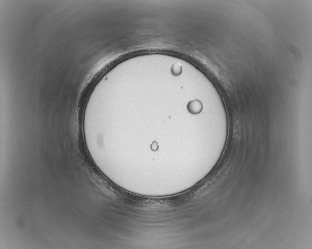 X0000114541270200911161349