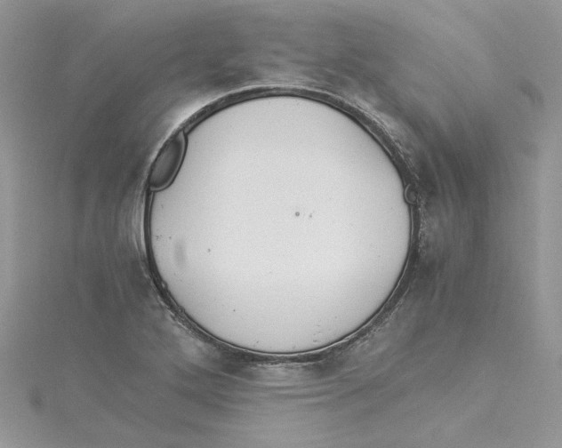 X0000114541272200911161349