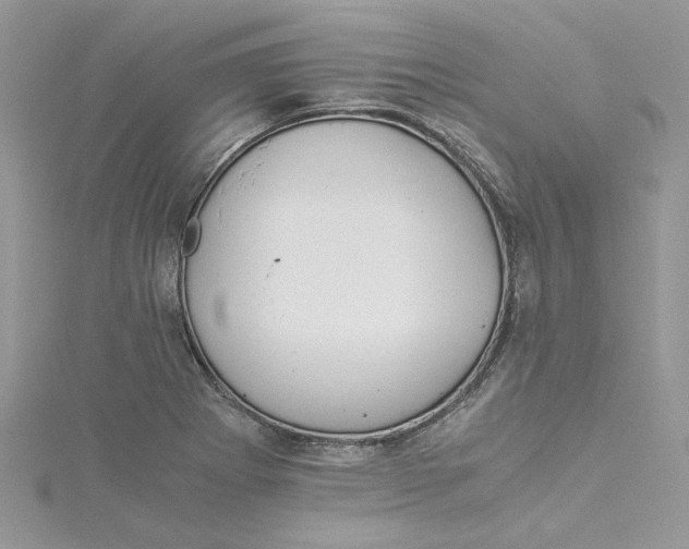 X0000114541273200911161349