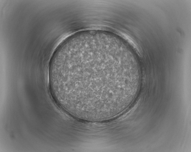 X0000114541275200911161349