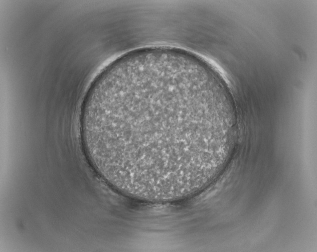 X0000114541279200911161349