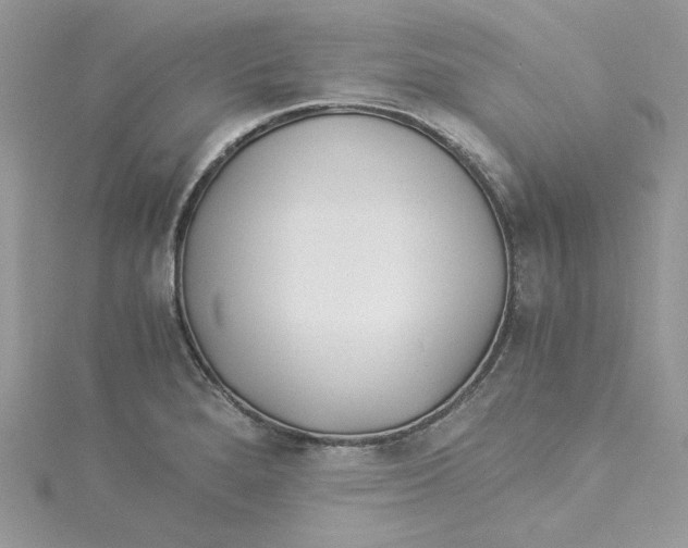 X0000114541280200911161349