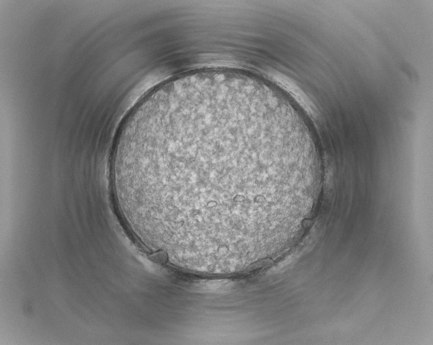 X0000114541282200911161349