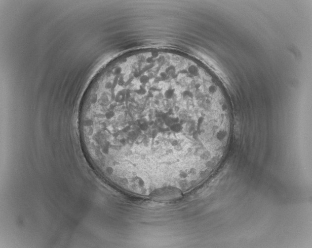 X0000114541283200911161349