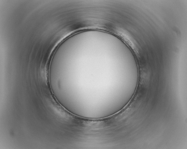 X0000114541284200911161349