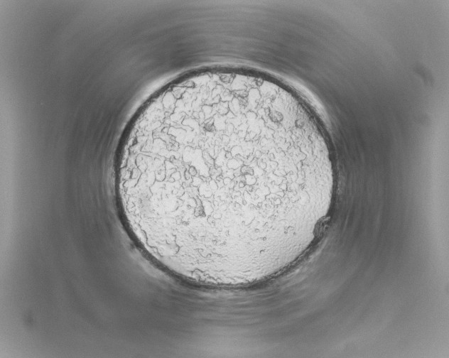 X0000114541287200911161349