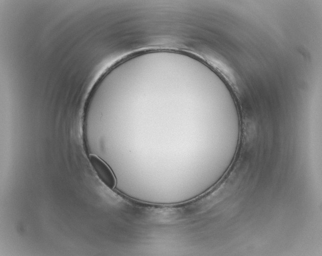 X0000114541288200911161349