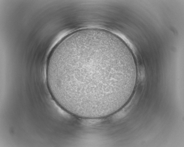 X0000114541294200911161349