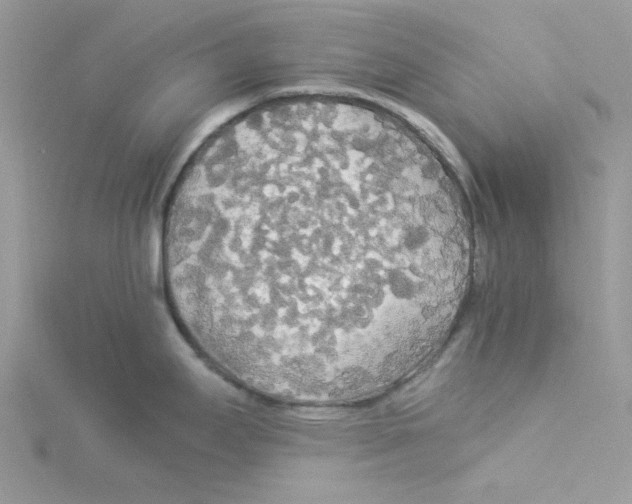 X0000114541295200911161349