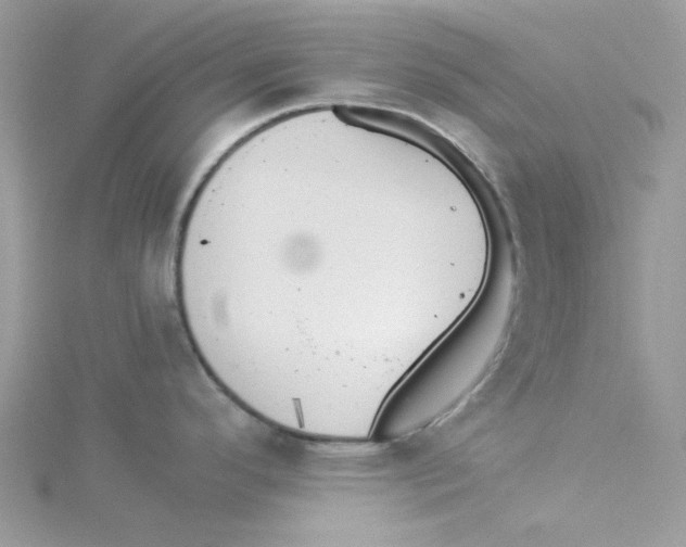 X0000114541296200911161349