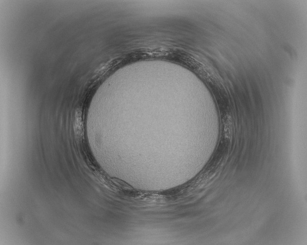 X0000114541298200911161348