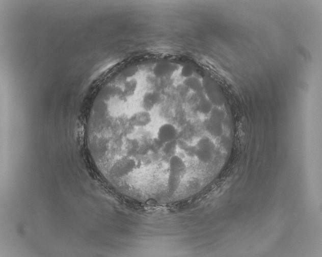 X0000114541302200911161348